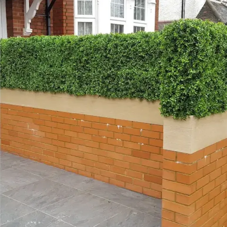 Front garden brick wall with rendered piers and a clipped box hedge topper over grey paving